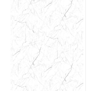 Panel Spc Lumi 2,44 x 1,22 MT