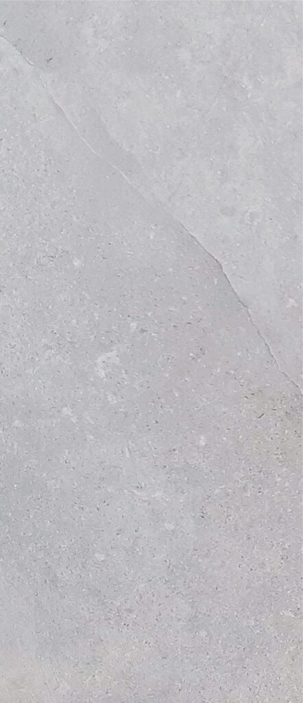 Gres Porcelánico Vega Silver Matt 30x60