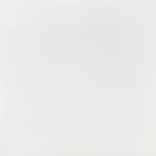 Blanco Forte Mate 33x33 cm - Imagen 2